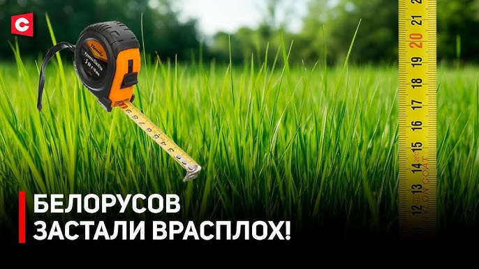 Чем возмущены белорусы? Штраф за траву выше 20 см! |  Как ЖКХ наводит порядок?