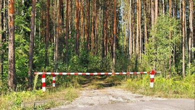В Лунинецком районе введено временное ограничение на посещение лесов