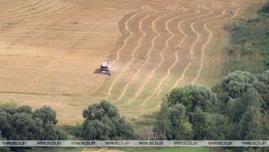 Лукашенко потребовал достойно закончить сельскохозяйственный год