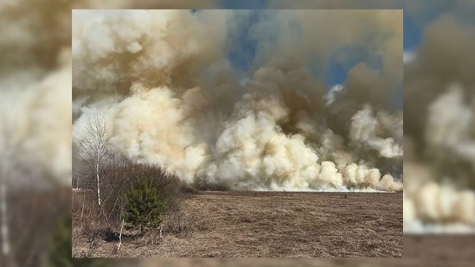  Осторожно, весенние палы! К каким последствиям может привести выжигание сухой растительности?