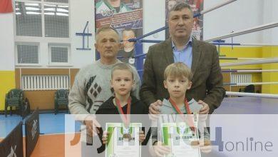 Юные боксёры из Лунинецкого района успешно выступили на республиканских соревнованиях