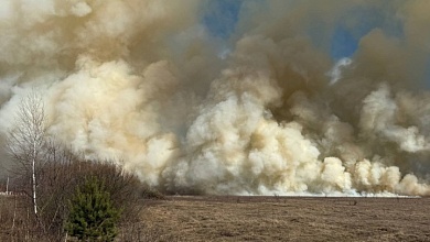 Спасатели второй день тушат пожар в Пинском районе
