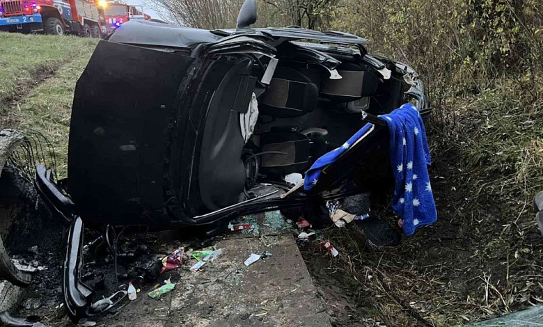 На дорогах Брестской области произошло 11 ДТП