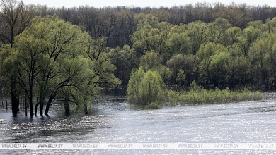 Уровень воды на Припяти вырос