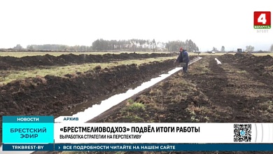 Мелиораторы подвели итоги работы в Брестской области