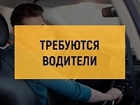 Водителей с категориями "В", "С" приглашают в организацию на грузовые автомобили
