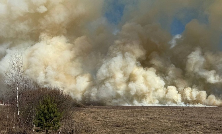 Спасатели второй день тушат пожар в Пинском районе