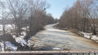 Какие регионы Беларуси уже затронуло весеннее половодье, рассказали гидрологи