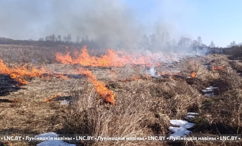 Снизить риск лесных пожаров! Контролируемые палы проводят в Лунинецком районе