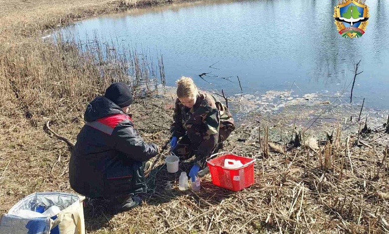 Причину гибели рыбы в прудах Бохоново выясняют в Лунинце