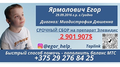 Ярмоловичу Егору нужна помощь!