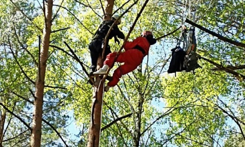 Спасатели сняли с дерева парашютистку в Брестской области