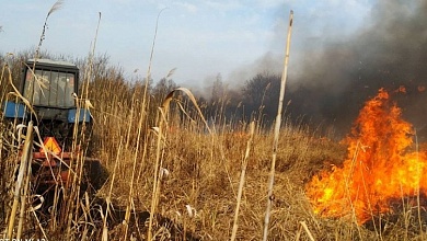В Брестской области зафиксировано уже 53 факта загораний в природных экосистемах
