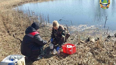 Причину гибели рыбы в прудах Бохоново выясняют в Лунинце
