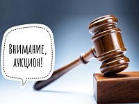 С аукциона продается квартира в Микашевичах