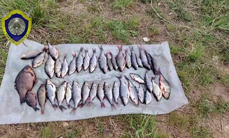 Браконьеру за 40 рыб насчитали более 8 тыс. рублей ущерба и штрафа 