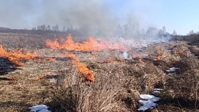Снизить риск лесных пожаров! Контролируемые палы проводят в Лунинецком районе