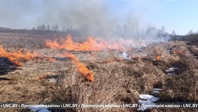 Снизить риск лесных пожаров! Контролируемые палы проводят в Лунинецком районе