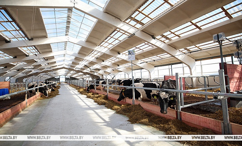 Лукашенко потребовал исключить бюрократизм при строительстве и реконструкции МТК 