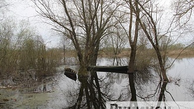 Нерест! Под особым контролем водоемы и реки Беларуси! 