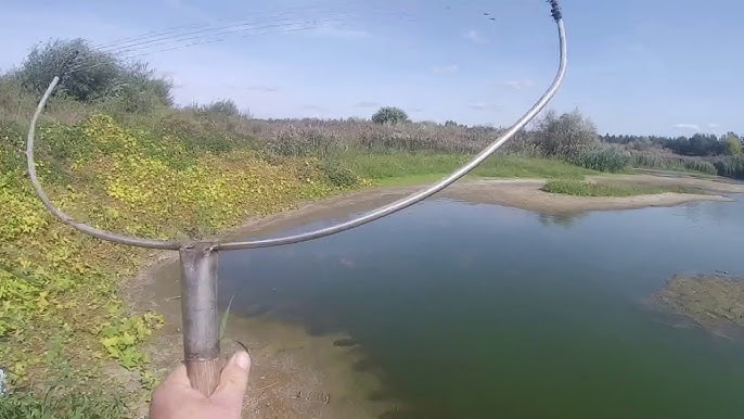 За мотыля можно и ответить! Действие запрета и лимит его добычи в Беларуси