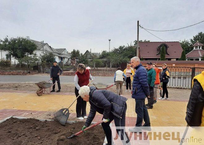 Субботник, посвященный Дню народного единства, провели в Лунинце