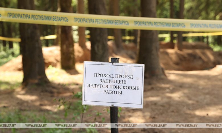 В Лунинецком районе выявили ранее неизвестное место расстрела в годы ВОВ мирных жителей