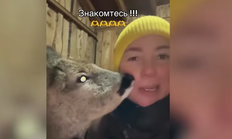 Кто спас косулю от депрессии? // Приют на белорусской ферме! // “Аист САМ пришёл за помощью!”