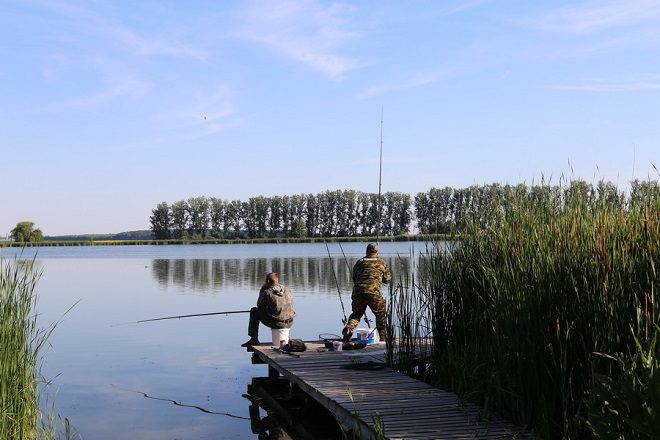 Специалисты рассказали о разрешённых способах рыболовства