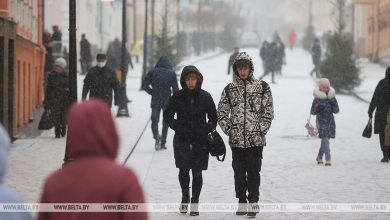 Почти 370 тыс. иностранцев посетили Беларусь по безвизу