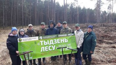 Студотряд из Дятлович принял участие в «Неделе леса» (Лунинецкий район)
