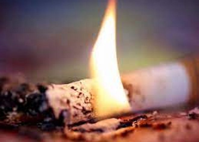 Чаще всего пожары в Брестской области случаются из-за курения