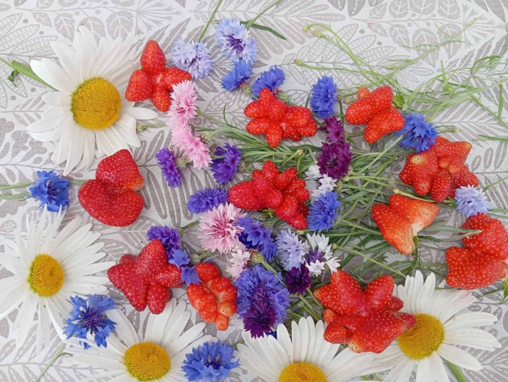 Вырастает и такая клубника! Художества природы в ягоде: поучаствуй в конкурсе 