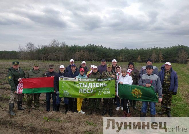 Руководство Лунинецкого района приняло участие в республиканской акции «Неделя леса»