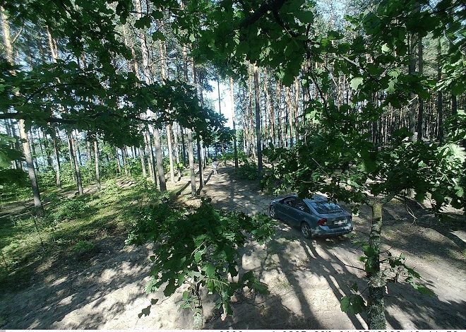 В объективе фотоловушки Лунинецкого лесхоза