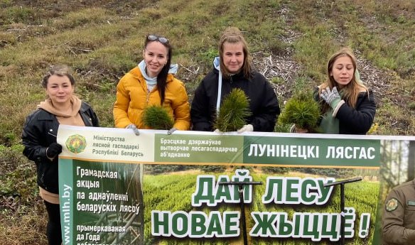 Представители суда и отдела Следственного комитета присоединились к акции «Дай лесу новае жыццё!»  