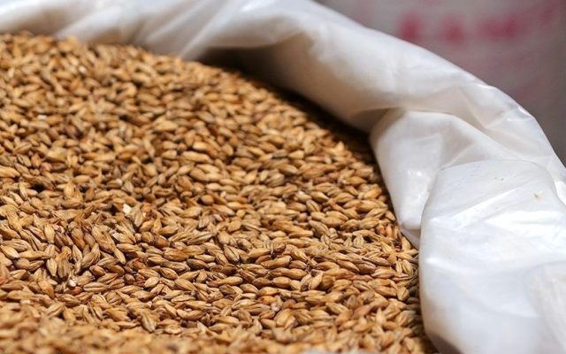 Работник вынес более 90 килограммов зерна с сельхозпредприятия