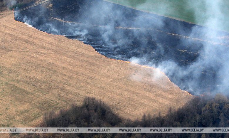 В Брестской области за прошедшие сутки горели два поля с зерновыми