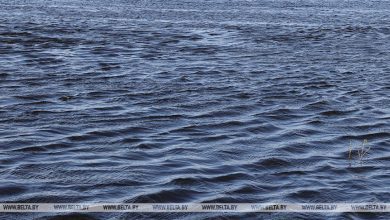 «Искали три дня» В Лунинецком районе на Белом озере утонул мужчина