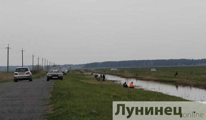 Фотофакт: рыбное место в Лунинецком районе