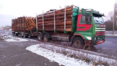 Крупную партию древесины с подложными документами задержали под Брестом