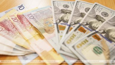 Доллары, евро, российские рубли: какие поддельные купюры попадают к жителям Брестской области