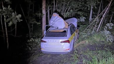 Житель Лунинецкого района на автомобиле «Skoda» сбил лося
