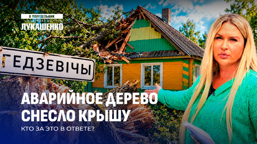 Дерево упало на крышу. Кто ответит за все - история в деталях   