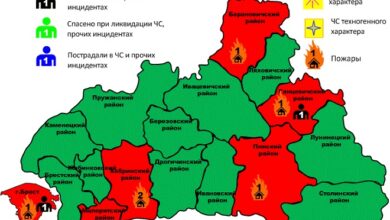 Семь пожаров за сутки в Брестской области. Два человека погибло…