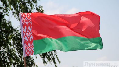 В Лунинецком районе неизвестные украли Государственные флаги