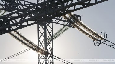 Электроснабжение восстановлено в 38 пострадавших от непогоды деревнях Брестской области