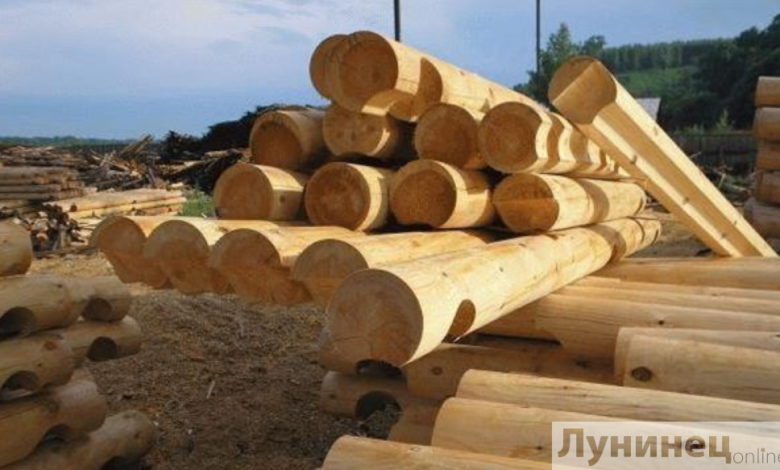 Правительство Беларуси вновь продлило для ОАО «Лунинецлес» процедуру санации