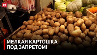 В Беларуси ввели ГОСТы для овощей! | Картошка будет по рублю!