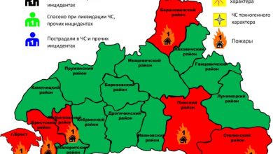 Горят гаражи, хозпостройки и дома. В Брестской области произошло 6 пожаров за прошедшие сутки